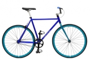 Critical Cycles Fixed Gear Single Speed Fixie Urban Road Bike (Blue/Aqua, Medium)